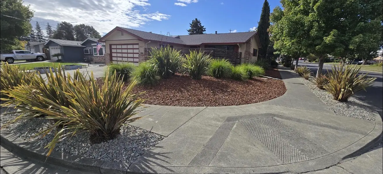 Low-maintenance front yard with mulch, gravel, and ornamental grasses in Napa Valley