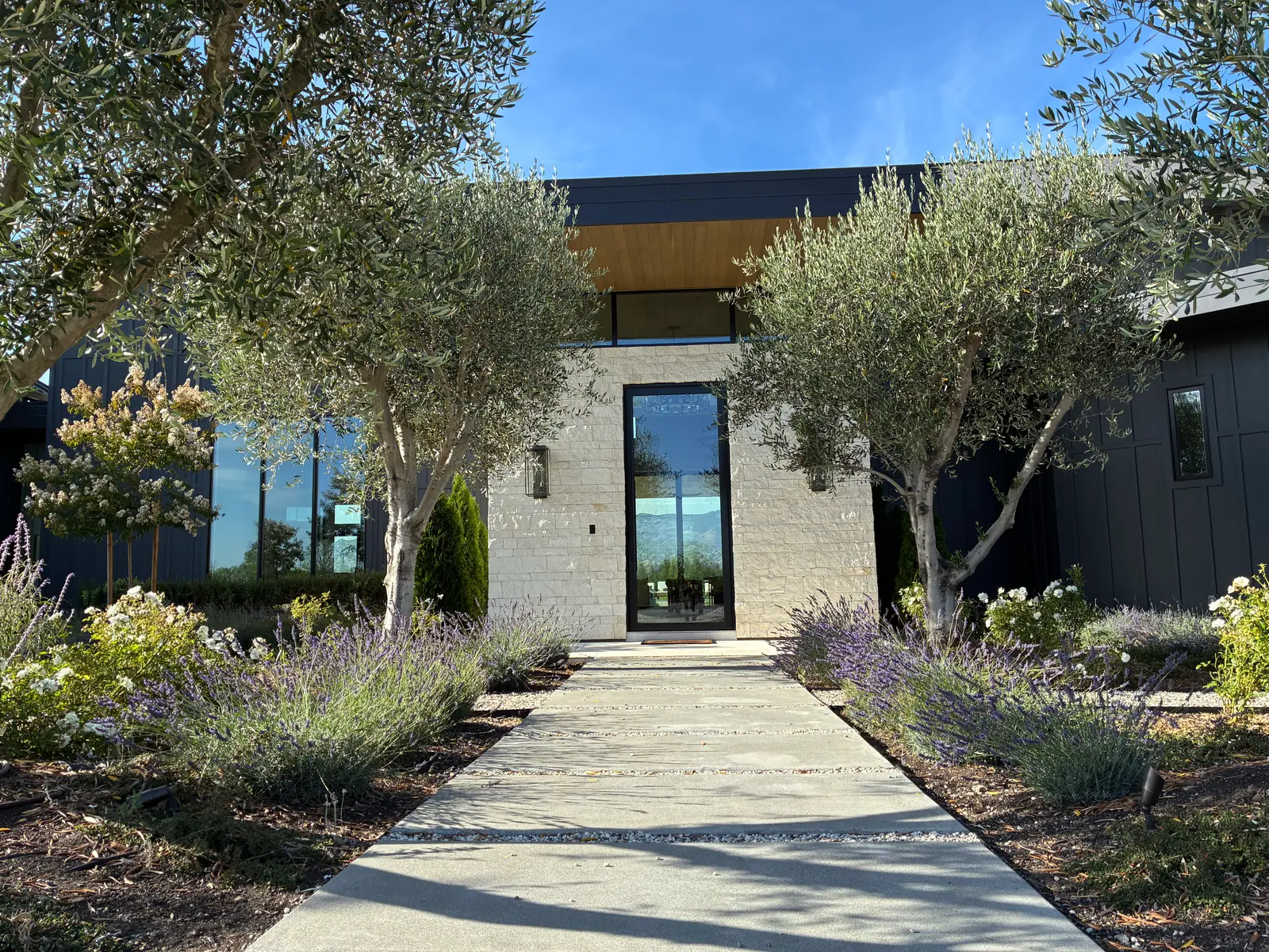 Modern paver walkway with planted borders leading to a residential entry in Napa