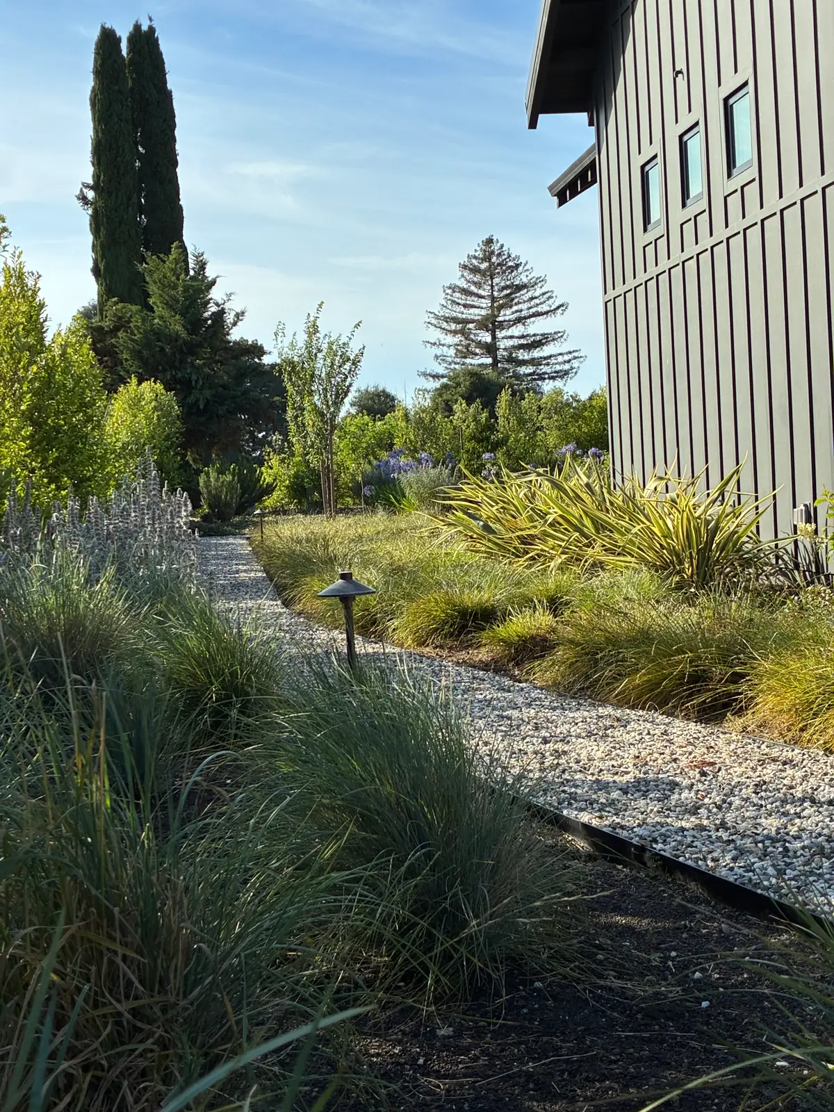 Drought-tolerant gravel path beside modern home
