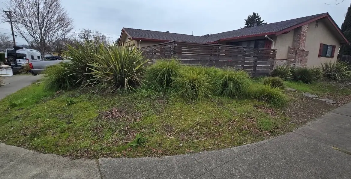 Residential yard assessed before cleanup and landscape work