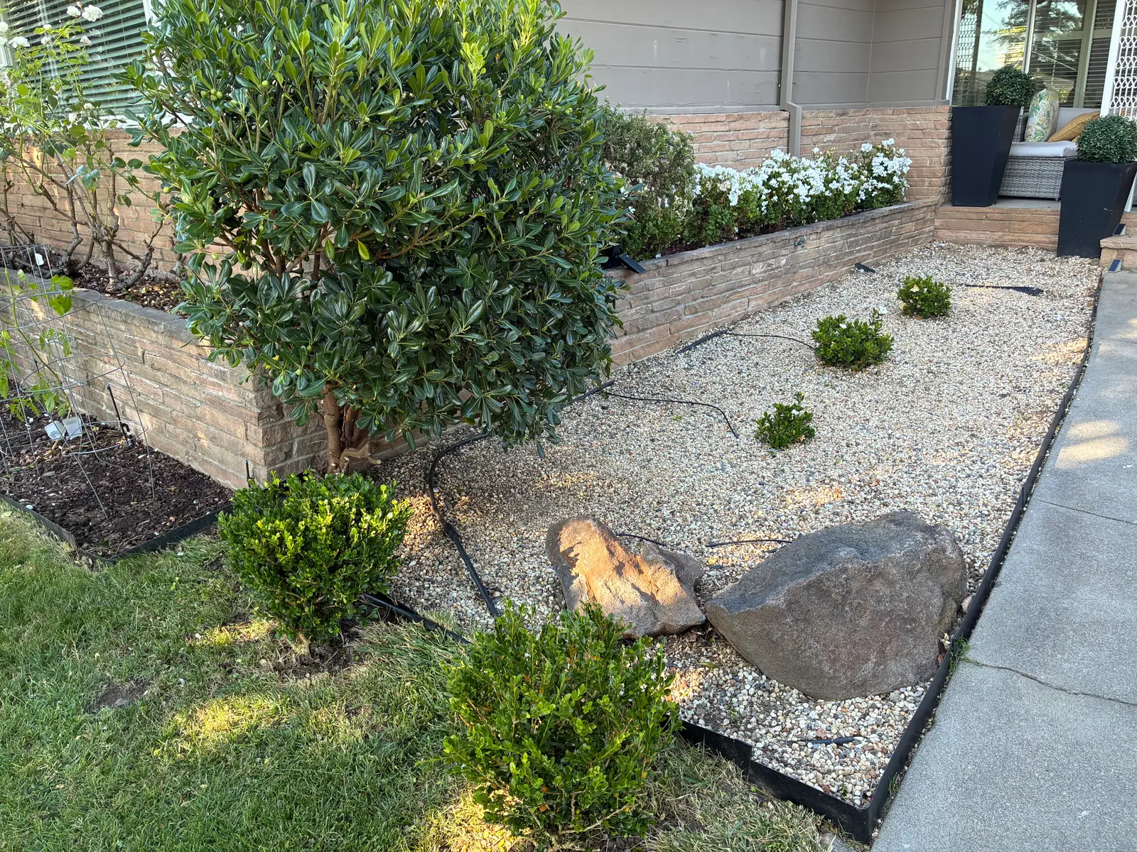 Drip irrigation lines installed through rock and planted landscape beds in Napa Valley