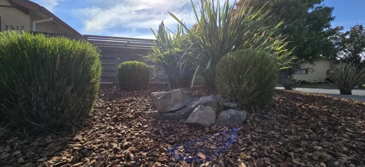 Recent 9 Line Landscaping project 4